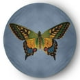 thumbnail image 1 of 5' Round Simply Daisy Colorful Butterfly Swallowtail Novelty Chenille Area Rug, Dusty Smoke Blue, 1 of 4