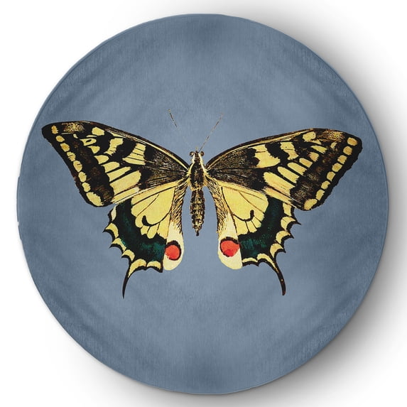 5' Round Simply Daisy Rare Swallowtail Butterfly Novelty Chenille Area Rug, Dusty Smoke Blue