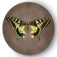 thumbnail image 1 of 5' Round Simply Daisy Rare Swallowtail Butterfly Novelty Chenille Area Rug, Ginger Snap Brown, 1 of 4