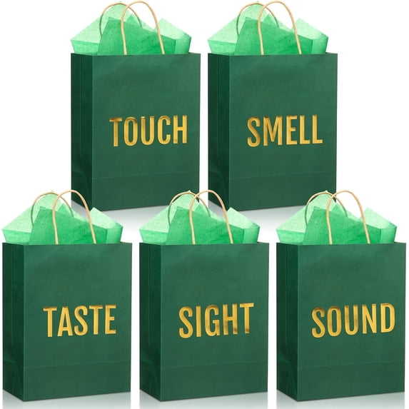 5 Senses Gift Bags for Him Her Five Senses Gift Bag with Ribbon Handles and Tissue Paper Present Wrappings for Valentine Wedding Birthday Mothers Day(Green)