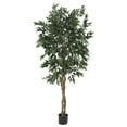 thumbnail image 1 of 5' Smilax Tree, 1 of 3