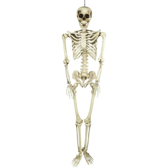 5' Spooky Life Size Skeleton Indoor/Outdoor Halloween Decoration