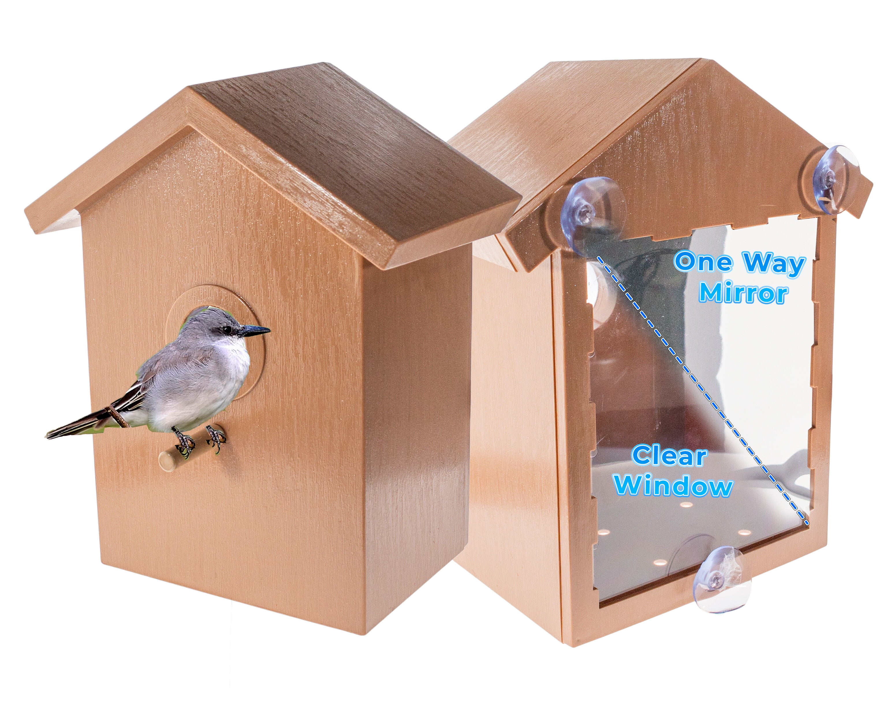 See Through Two Way Mirrored Bird House - Suction Cup Window Mounted, Weatherproof Design for Bluebirds \u0026 Sparrows