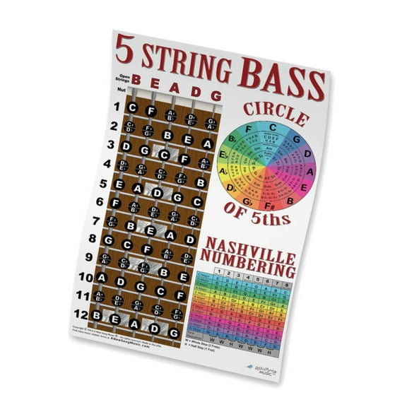 5 String Bass Fretboard Poster - Multi Color, Nashville Numbers & Circle of 5ths Charts - 11x17