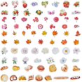 thumbnail image 1 of 5 Styles Bottle Decals Decorative Removable Waterproof PVC Vinyl Label Self Adhesive Stickers Bread Flower Maple Leaf Fruit for Bottle Containers Freezer DIY Craft Scrapbooking Jam Jar, 1 of 6