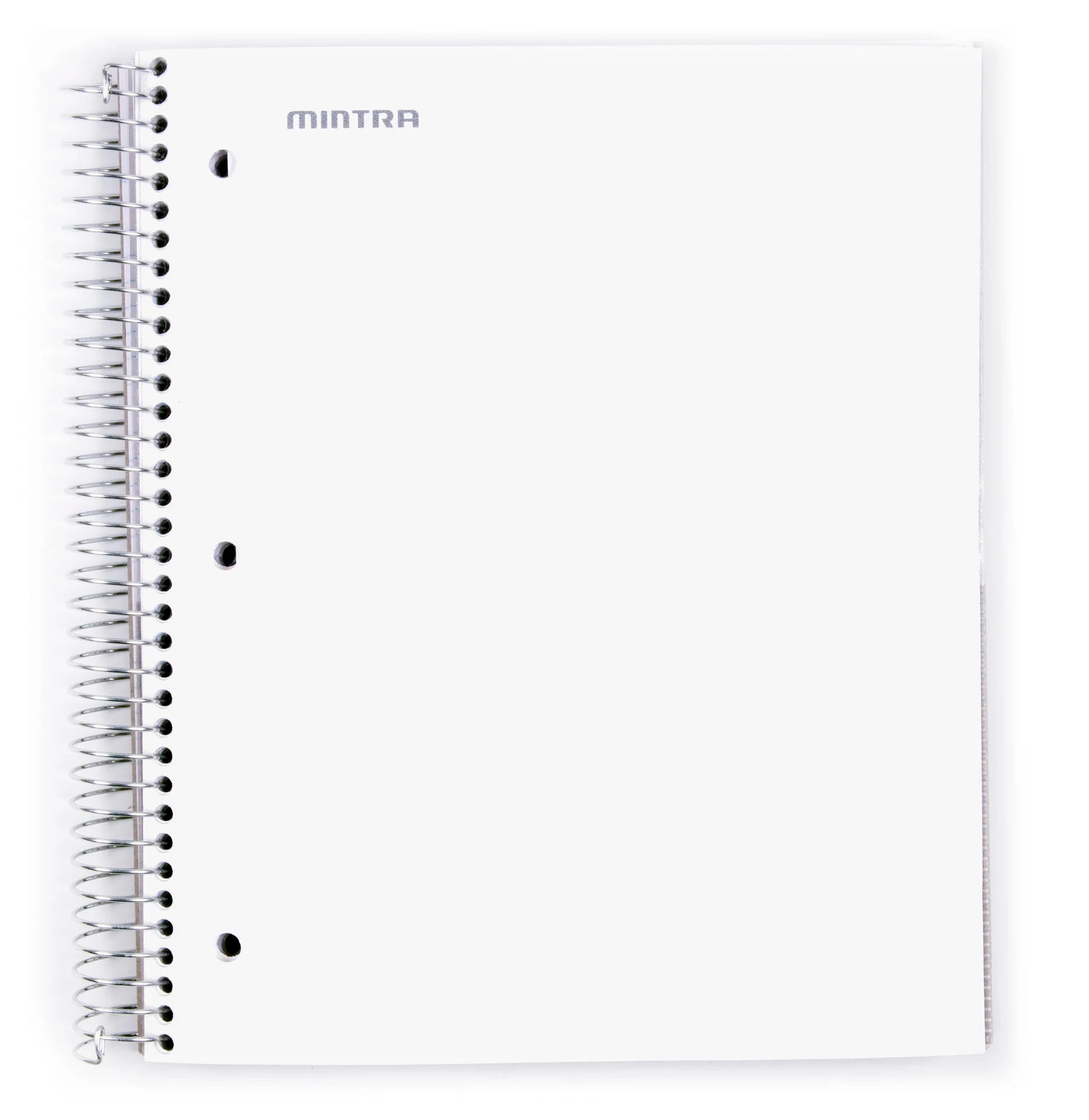 5 Subject Notebook College Ruled Durable Poly Cover/5 Poly Pockets