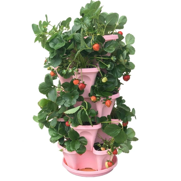 5 Tier Vertical Garden Planter Stackable Design for Strawberries Herbs, with 10 Inch Saucer, Pink, Ideal for Home Balcony Deck