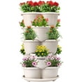 thumbnail image 1 of 5 Tier Vertical Gardening Stackable Planter for Strawberries, Flowers, Herbs, Vegetables, 1 of 7