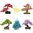 5 Types Bonsai Tree DHF10 Kit, Wisteria, Black Pine, Blue Spruce, Red