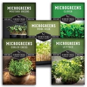 5 Variety Pack Microgreens Sprouting Seeds - Annual Vegetable Indirect Light