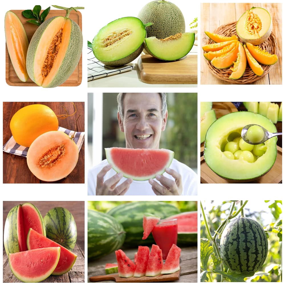 5 Variety Packs Watermelon Seeds for MVR1&nbsp;Planting Melon Seeds Garden  Non-GMO Heirloom Cantaloupe, Crimson Sweet Watermelon, Yellow Canary Melon,  Green Flesh Honeydew Melon, Sugar Baby Watermelon - Walmart.com