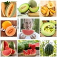 thumbnail image 1 of 5 Variety Packs Watermelon Seeds for MVR1&nbsp;Planting Melon Seeds Garden Non-GMO Heirloom Cantaloupe, Crimson Sweet Watermelon, Yellow Canary Melon, Green Flesh Honeydew Melon, Sugar Baby Watermelon, 1 of 3