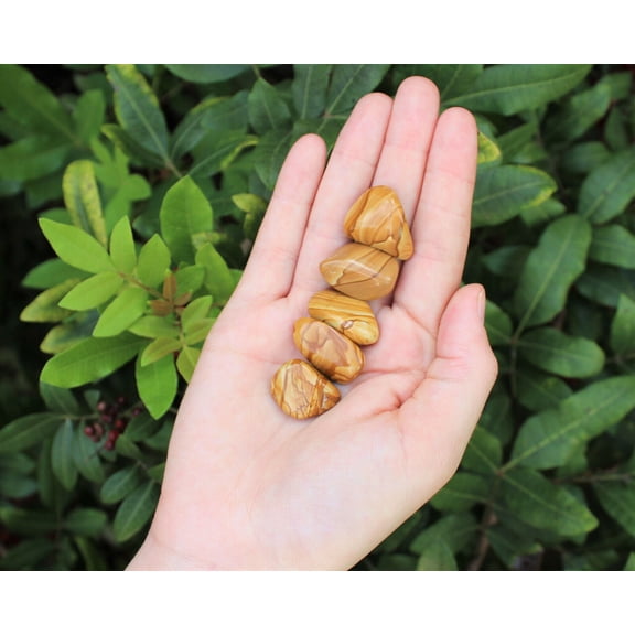 5 Walnut Jasper Tumbled Stones, Medium (Crystal Healing Reiki) Brown Jasper