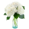 thumbnail image 1 of 5 White Hydrangea by Arabella Bouquets with a Free Hand- Blown Glass Vase (Fresh-Cut Flowers), 1 of 4