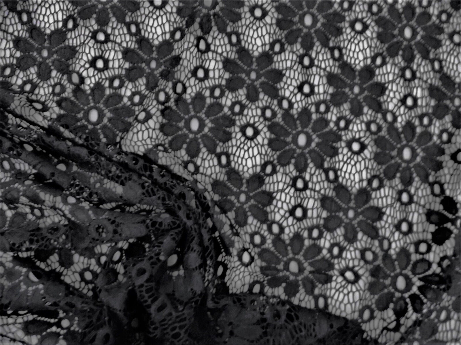 5 Yard Lot Embroidered Stretch Lace Apparel Fabric Sheer Floral Black AA106