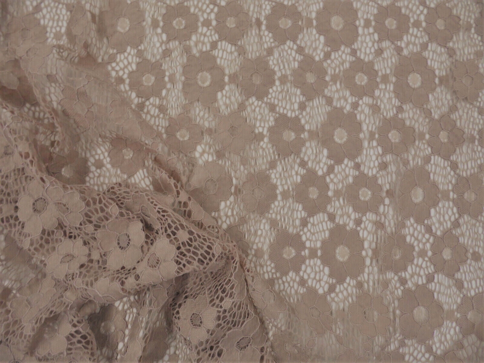 5 Yard Lot Embroidered Stretch Lace Apparel Fabric Sheer Floral Fawn Brown WW30