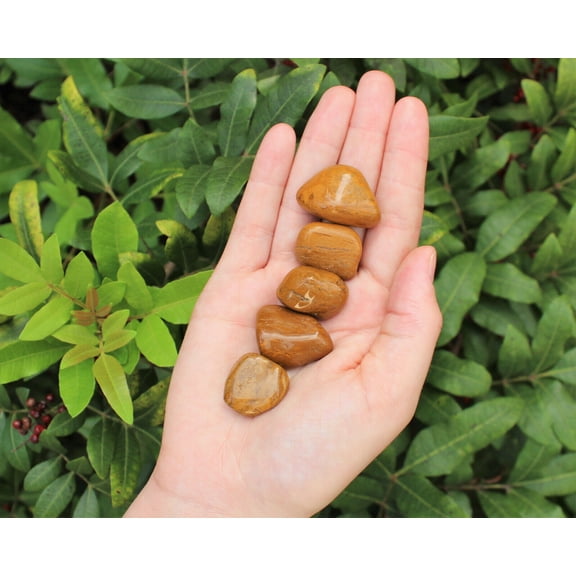 5 Yellow / Brown Jasper Tumbled Stones, Medium (Crystal Healing Yellow Jasper)