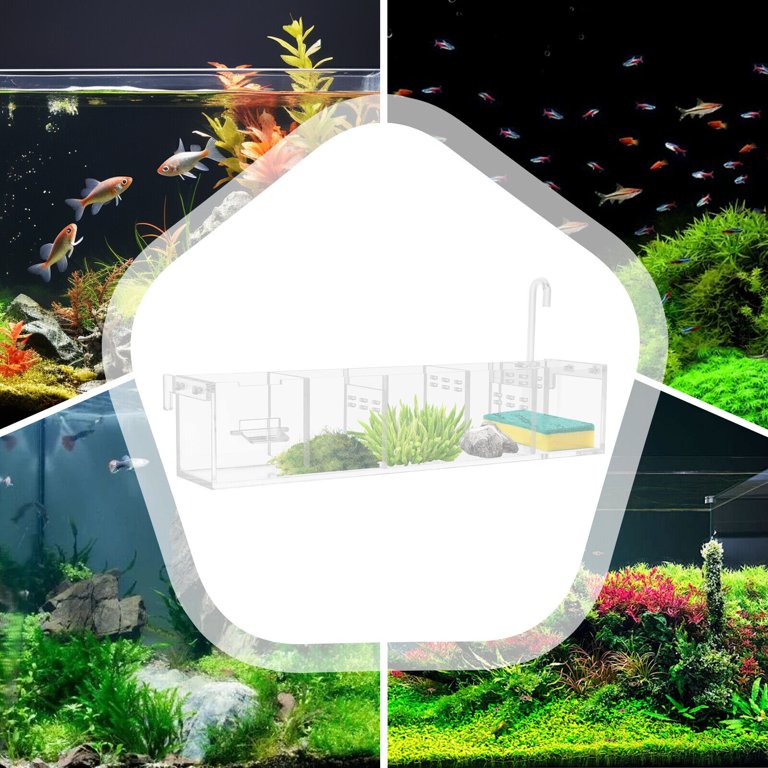 designing a filter box for fish tank Aquarium Filter, External 3 Tiers Water Cycle Box, Large Filter Kit Ponds, Turnover Filter-Multi Stage Filtration, No Pump & Filter Media ( Color : Gray 20 Gallon Fish Tanks Home How to Make a