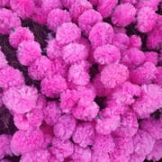 5 feet Marigold Garland |Indian/American Wedding Party Mantle Decoration, Faux Garlands Wedding Garland, Diwali Decoration, Spring Bush Floral