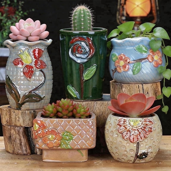 5 flower pots in various shapes: tall old-stem pots, wide-mouthed cluster pots, square combination pots, etc., meeting different succulent planting needs.