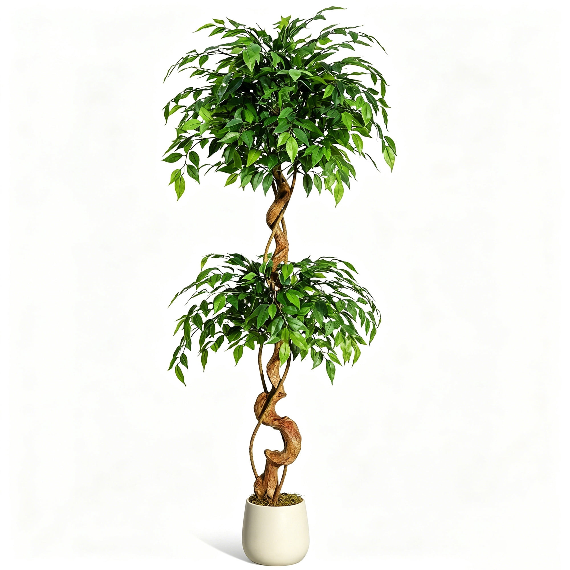 5 ft Artificial Ficus Tree with Curved Trunk, Lifelike Fake Ficus Tree with White Planter Pot, Realistic Faux Plant for Home Decor