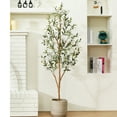 thumbnail image 1 of 5 ft Artificial Olive Plants with Realistic Leaves and Natural Trunk, Silk Fake Olive Tree in Black Plastic Pot, Faux Olive Tree for Office Home, 1 of 9