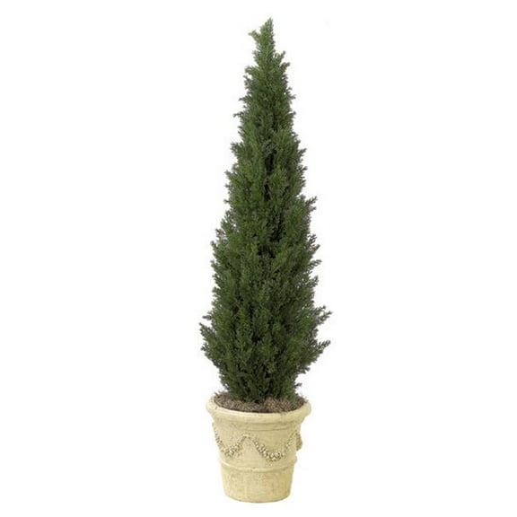 5 ft. Cedar Tree - Uv, Green