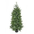 thumbnail image 1 of 5 ft. Cypress Tree with Multi-Function LED Lights, 1 of 4