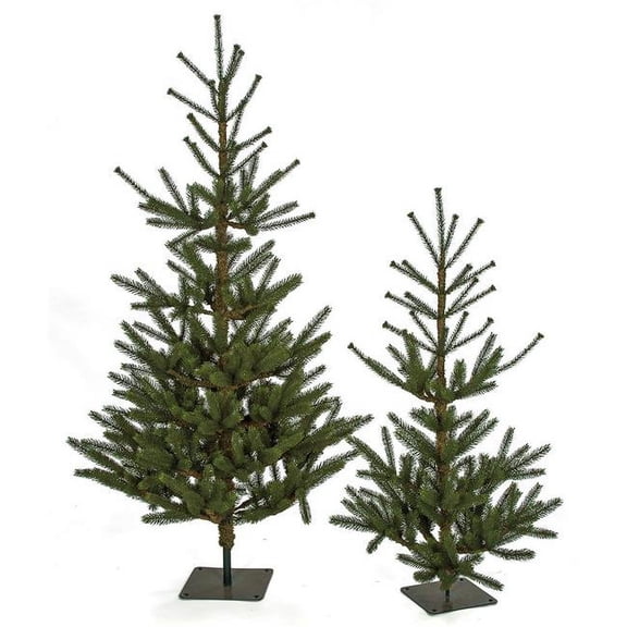5 ft. Pe Dawson Fir Tree with Square Base Plate, Green