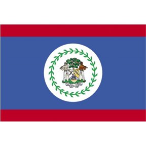 5 ft. X 8 ft. Nyl-Glo Belize Flag