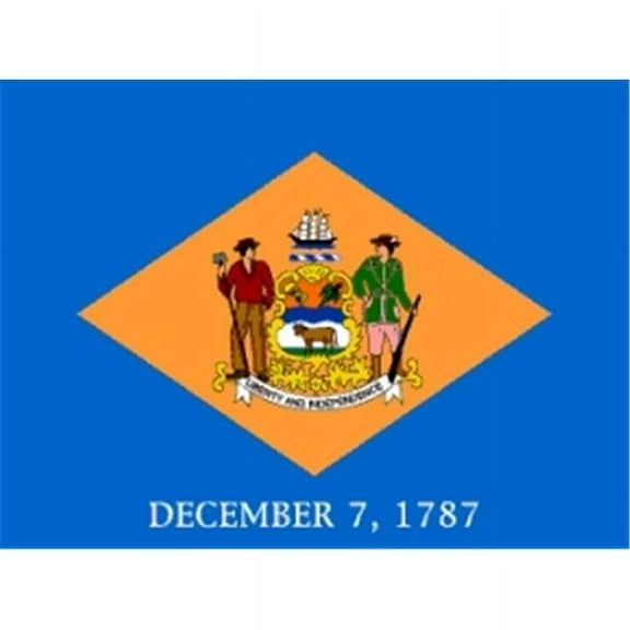 5 ft. X 8 ft. Nyl-Glo Delaware Flag