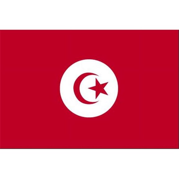 5 ft. X 8 ft. Nyl-Glo Tunisia Flag