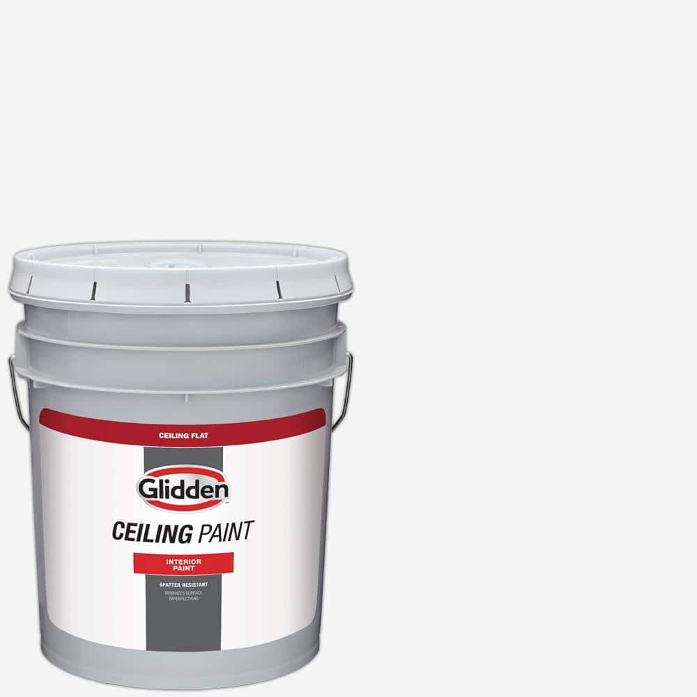 5 gal. High-Hiding White Interior Dead-Flat Ceiling Paint