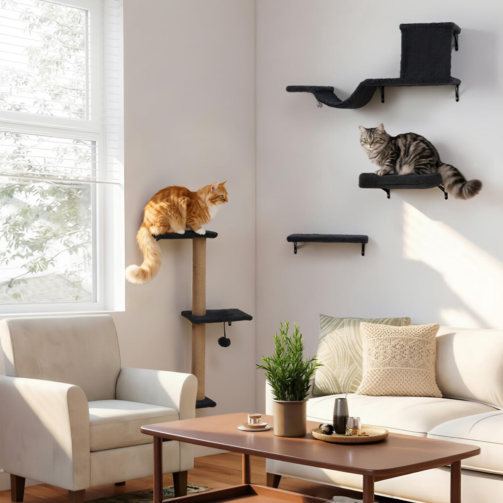 5-in-1 Cat Wall Shelves For Indoor Cats  Mounted Furniture With Bed Cave & Perch Multi-level Climbing Space Saving Floating (natural Wood Darkgrey)