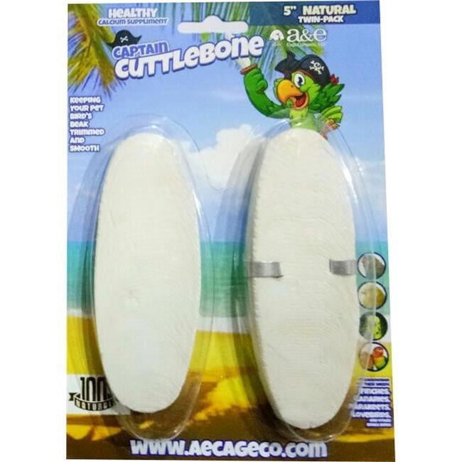 5 in. Natural Cuttlebone
