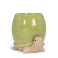 thumbnail image 1 of 5 in. Tall Turtle Planter, Green, 1 of 1