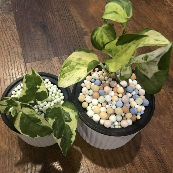 5 lb Mixed Colors Ceramsite Hydroponics LECA Soil Less Semi Hydro Growing Environment - Flourishing Venture