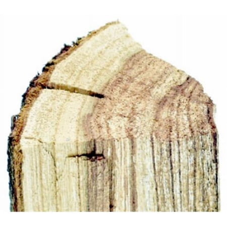5 lbs Almond Smoking Wood