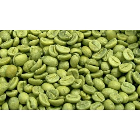 5 lbs Green Un-roasted Coffee Beans Guatemala MAYA Women Farmers Huehuetenango!