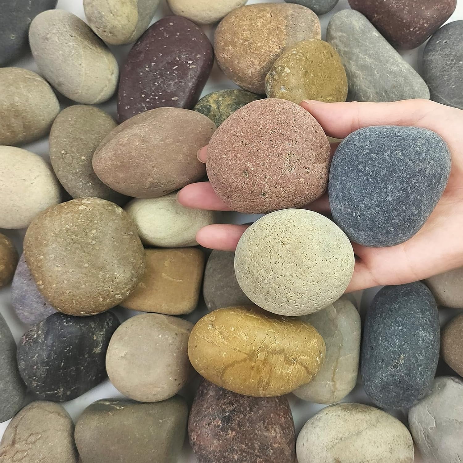 Nateral Rocks 5 lbs Natural Aquarium Rocks, 2-3 Inch Large Pebbles.Decorative River ...