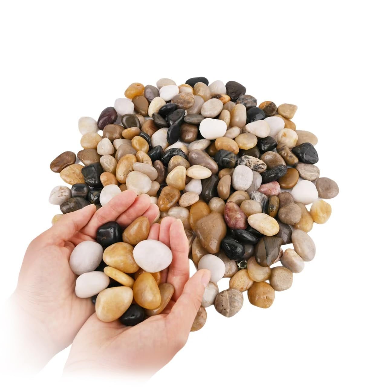 Fancy Small Rocks 5 lbs Natural River Rocks 1-2 Inch Ornamental Polished Pebbles Small ...