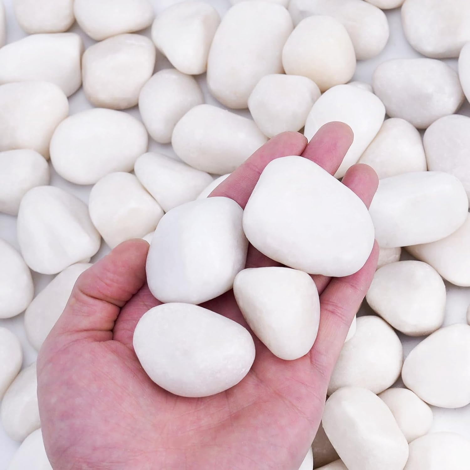 5 lbs White Rocks for Plants Indoor, 1-3 inch Decorative Garden Stone ...