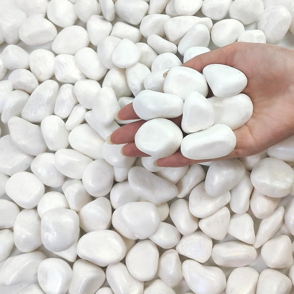 5 lbs White Rocks for Plants, 1-2 Inch Pebbles for Vase