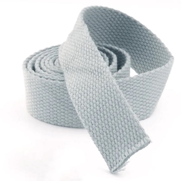 5 meters 25mm Canvas Ribbon Belt Bag Webbing Nylon Webbing Knapsack Strapping Sewing Bag Belt Accessories