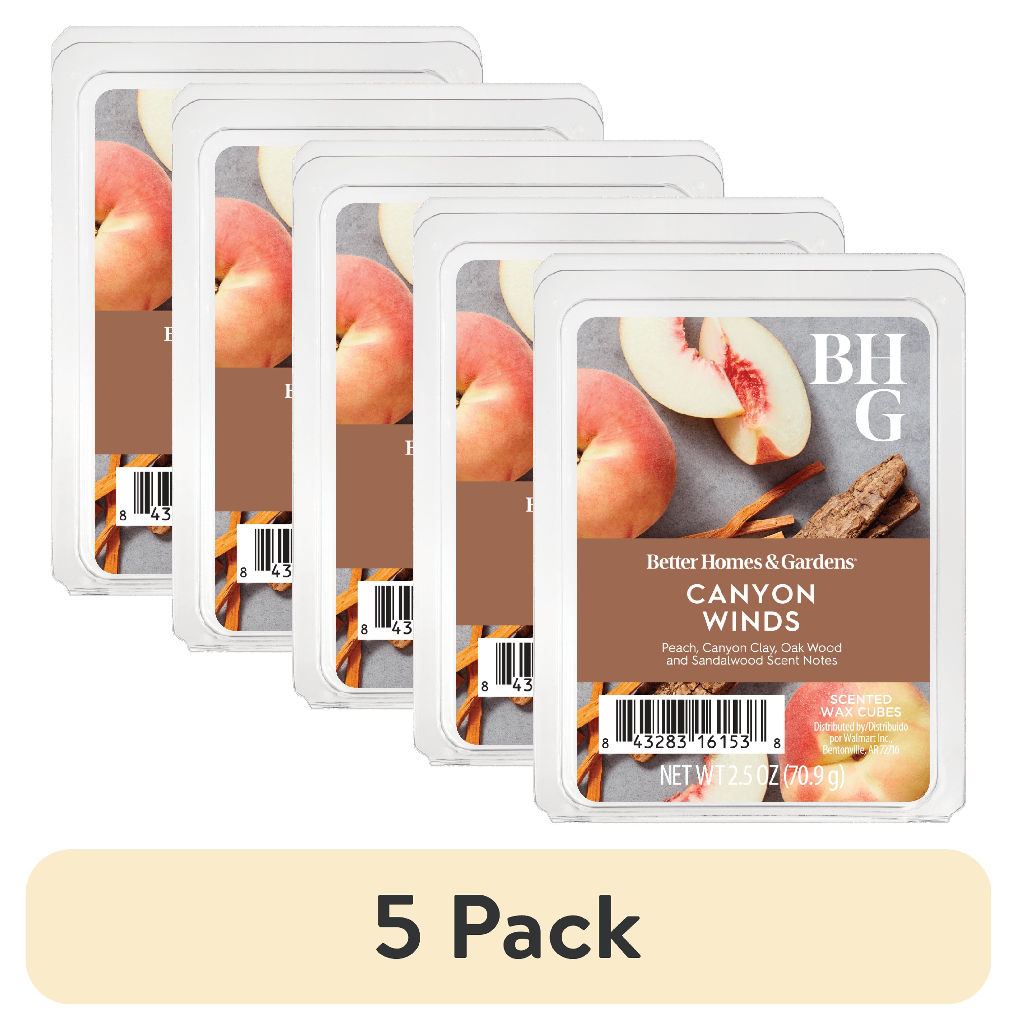 Better Homes & Gardens Canyon Winds Scented Wax Melts 2.5 oz