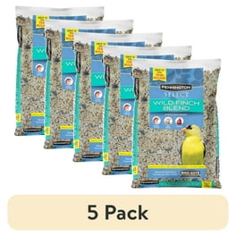 Does Dollar Tree Sell Bird Seed: Affordable Options for Gardeners