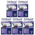 thumbnail image 1 of (5 pack) Sambucol Elderberry Cold and Flu Relief Tablets, Homeopathic Medicine, 30 Count, 1 of 9