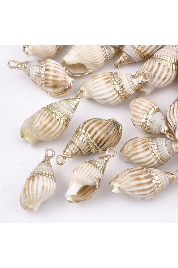 5 pc Electroplate Spiral Shell Pendants with Iron Findings Light Gold Peru 16~30x8~14x7~12mm Hole: 2mm