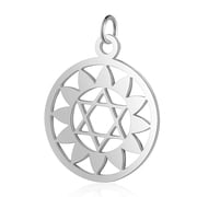 5 pc Non-304 Stainless Steel Pendants Anahata for Jewish Flat Round with Flower Star of David Stainless Steel color 22.5x19x1mm Hole 3mm