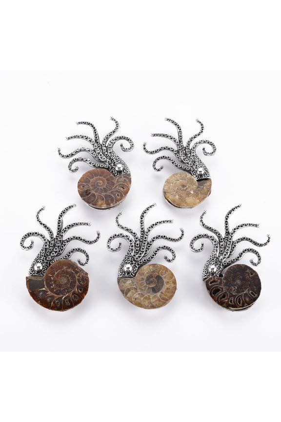 5 pc Octopus Shape Natural Conch Shell Fossil Brooch Pin Alloy Lapel Pin for Backpack Clothing Lead Free & Cadmium Free Silver Camel 61~65x55~55.5x8~11mm Hole: 7x4.5mm Pin: 0.7mm